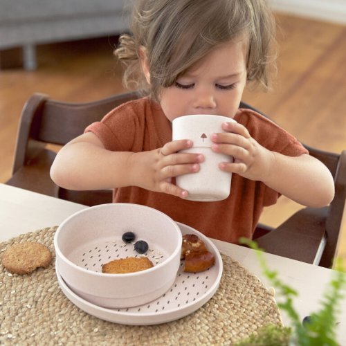 LÄSSIG Plate PP/Cellulose Little Forest fox