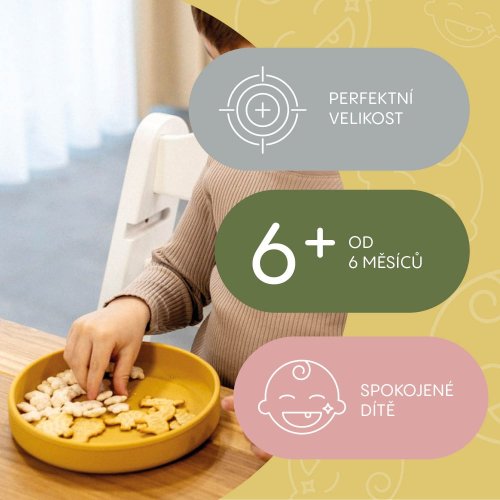 Silikonový talířek Zopa 2025 - Varianta: Forest Green