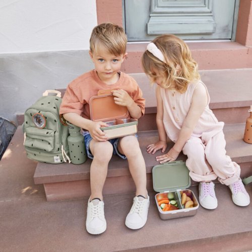 Cestovní Organizér Lässig ADVENTURE/HAPPY PRINTS 2026