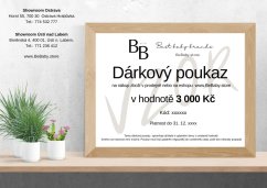 Dárkový poukaz v hodnotě 3.000kč
