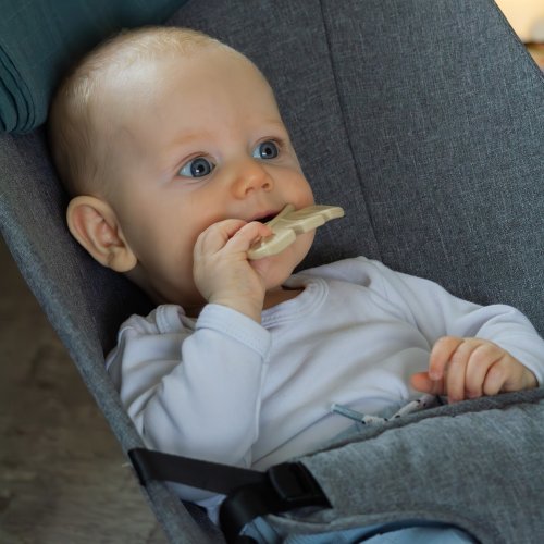 Silikonové kousátko Petite&Mars TAKE&MATCH 2024 0m+ - Varianta: 701818