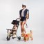 Multifunkční kočárek smarTrike Wonder™ 2026 - Varianta: Moonlight off white